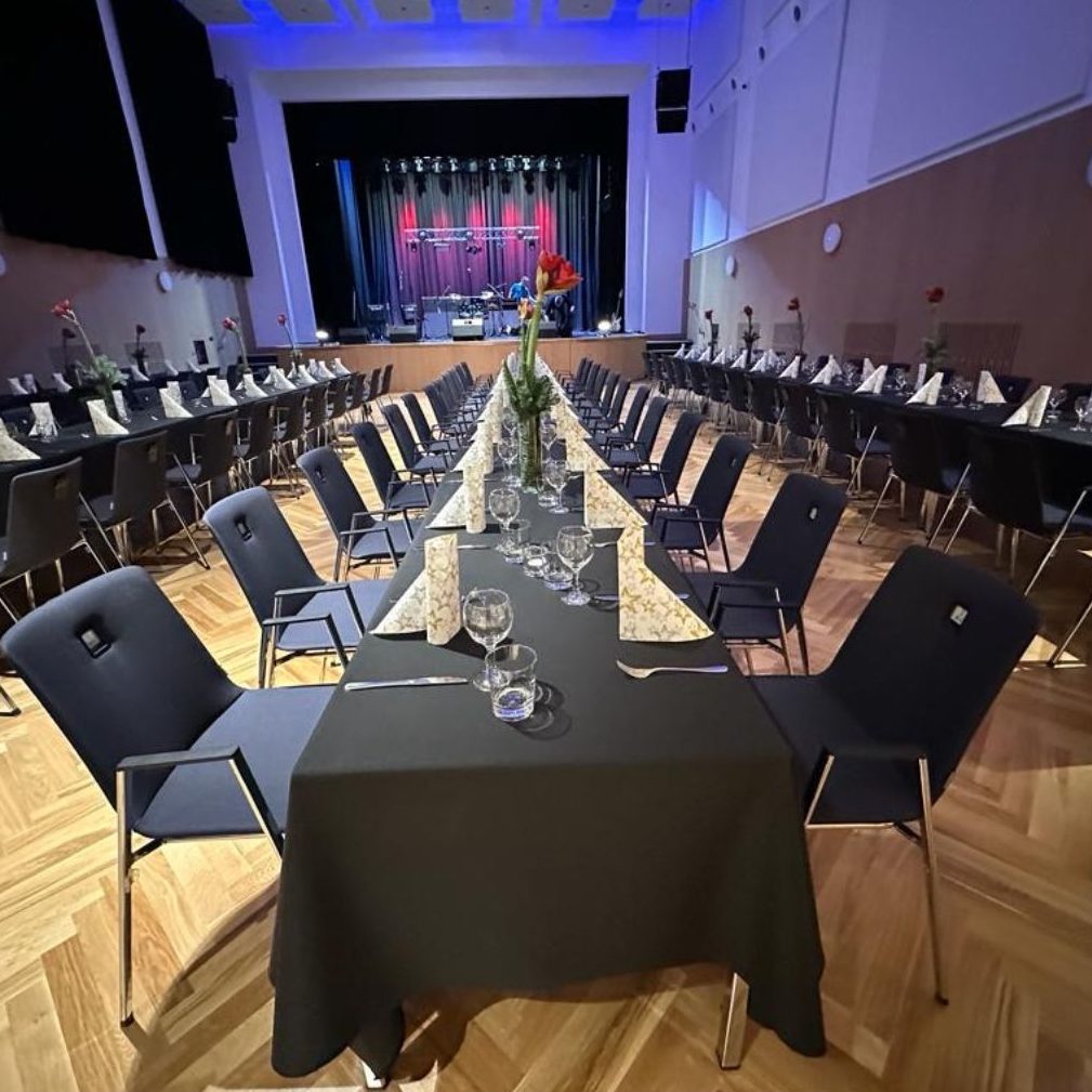 Veľká sála KKC Hviezda. Usporiadanie: konferencie a firemné večierky.